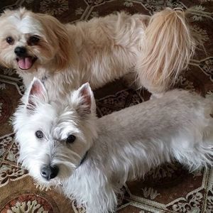 Meet your Posher, Sharon